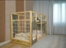 Kids Gymnastics Bed