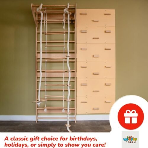 Swedish Ladder with Wall Climbing for Adults 