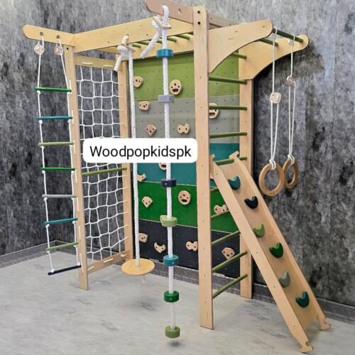 Jungle Gym Monkey Bars with Slide 