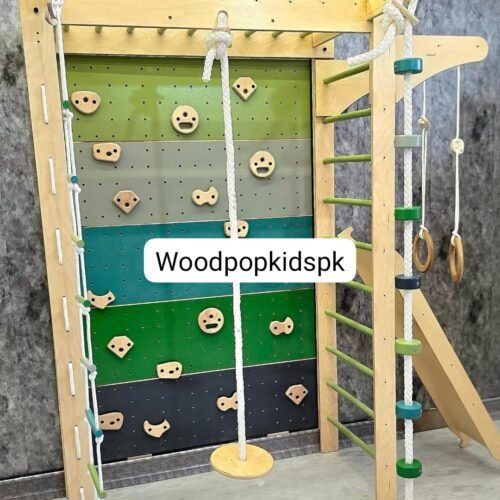 Jungle Gym Monkey Bars with Slide 