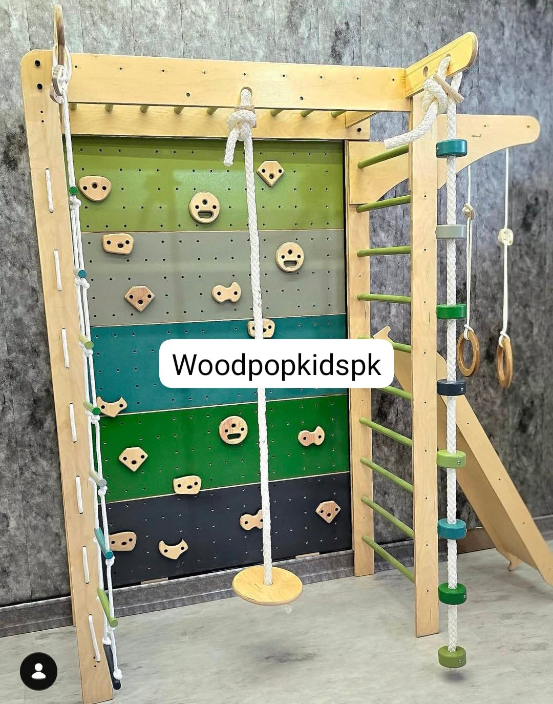 Jungle Gym Monkey Bars with Slide