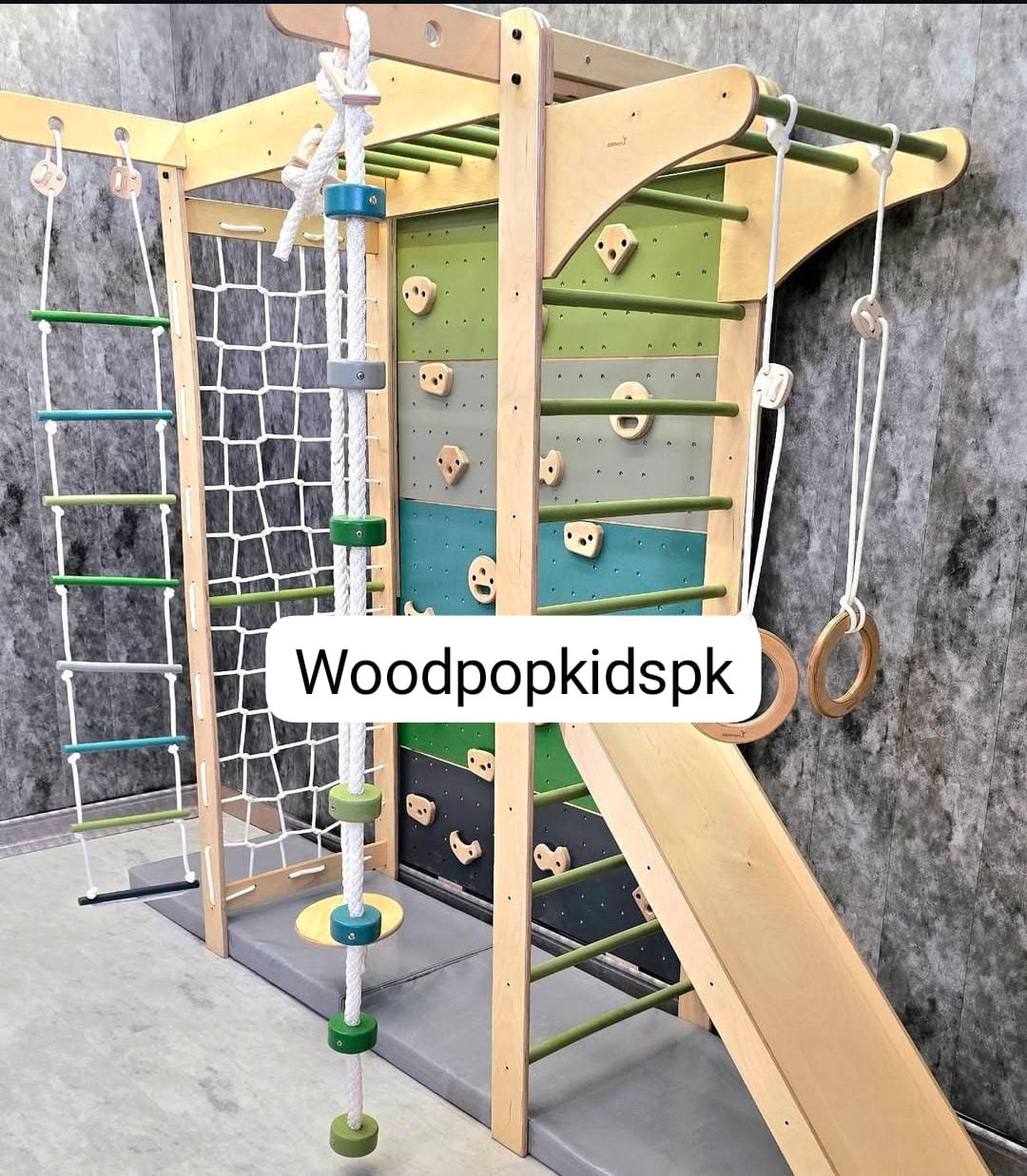 Jungle Gym Monkey Bars with Slide