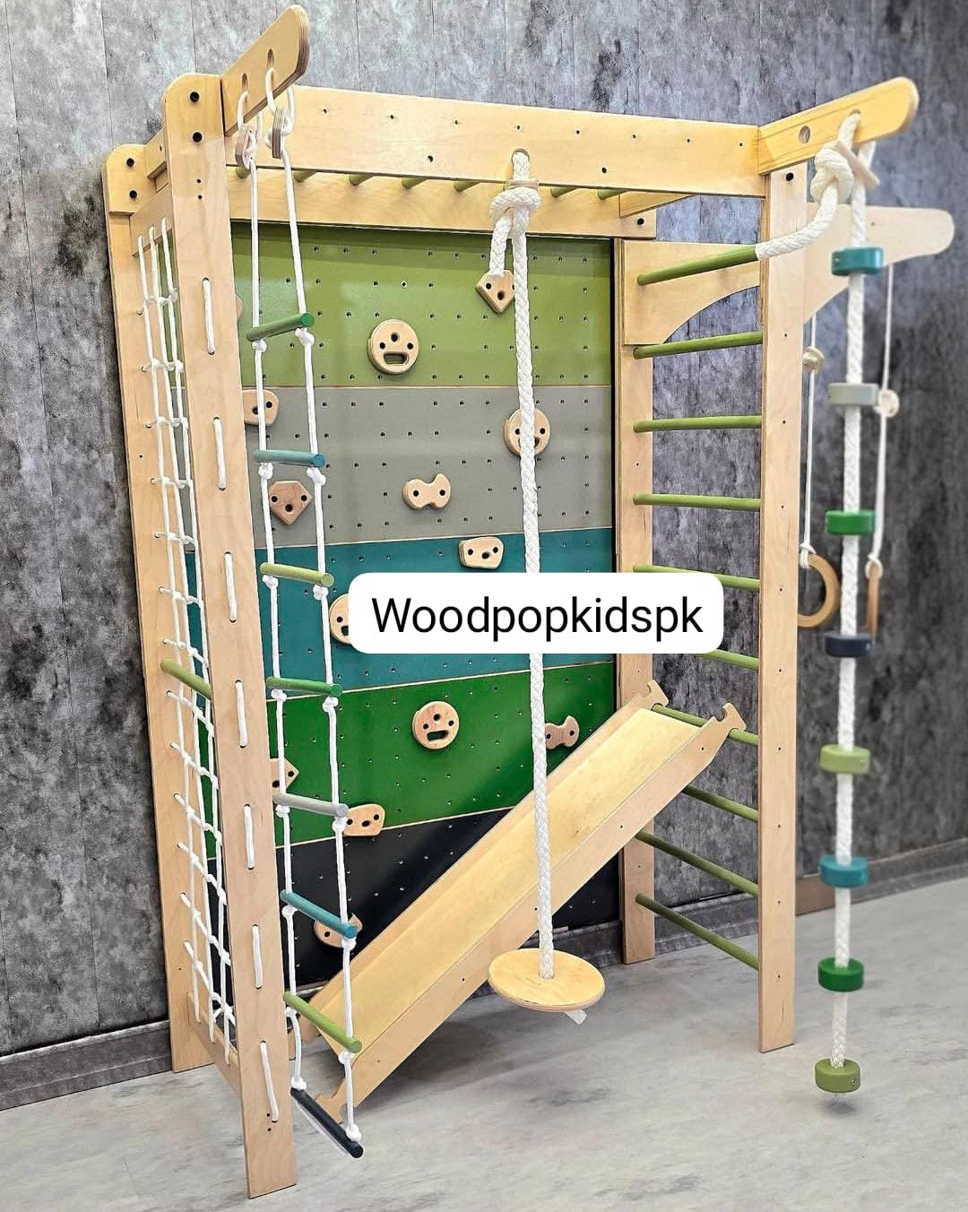 Jungle Gym Monkey Bars with Slide