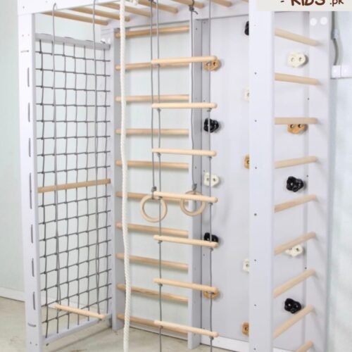 Monkey Bars with Slide for kids