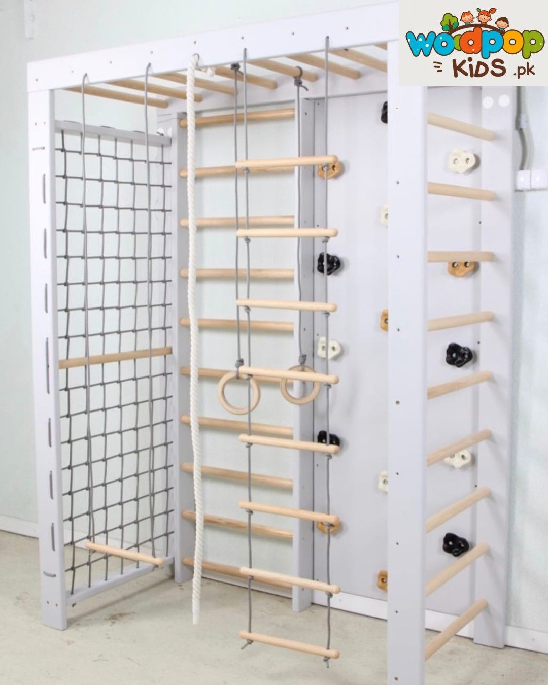 Monkey Bars with Slide for kids